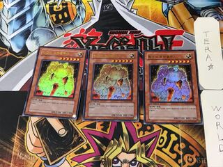 韓国版 黄金のホムンクルス 5 ウルトラ 3枚セット てら