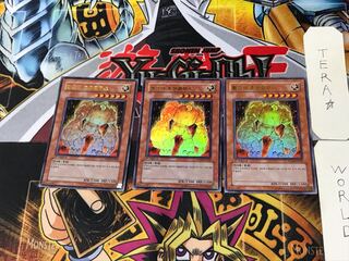 韓国版 黄金のホムンクルス 9 ウルトラ 3枚セット てら