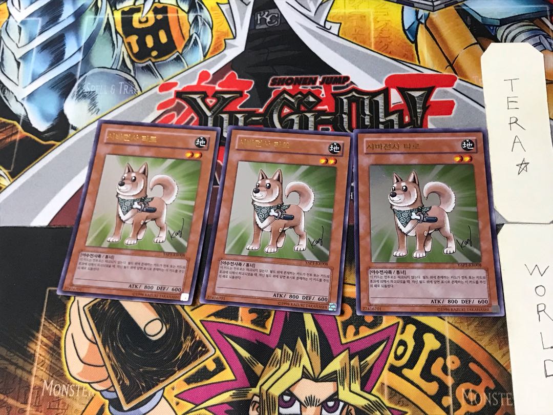 Korean version Shiba-Warrior Taro 2 Ultra, set of 3 Tera