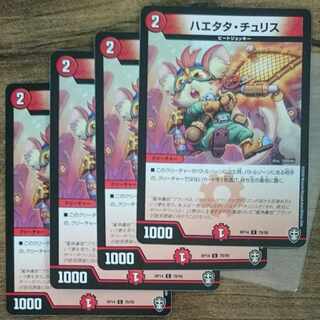 Haetata Chu Squirrel C 78/95