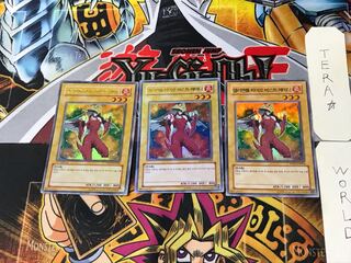 韓国版 E・HERO バーストレディ 7 ウルトラ 3枚セット てら