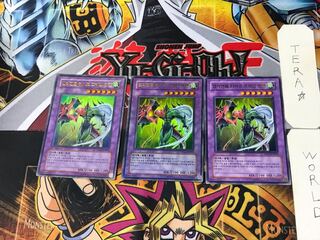 Korean Elemental HERO Flame Wingman 8 Ultra 3-card set Tera