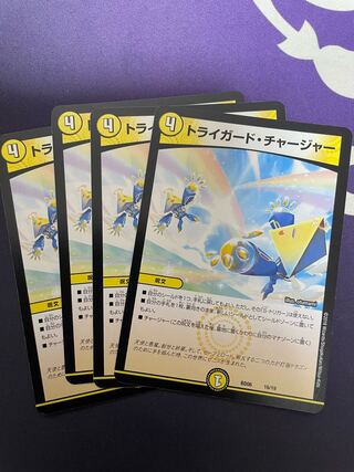 トライガード・チャージャー 16/19