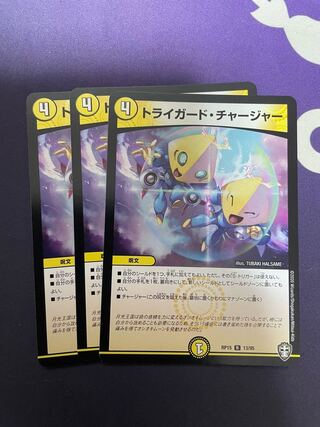 Triguard Charger R 13/95