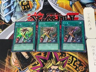 韓国版 アームズ・ホール 1 シークレット 3枚セット てら