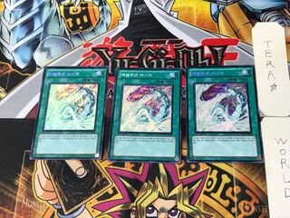 Korean version Evolution Burst 1 Secret 3-card set Tera