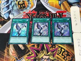 韓国版 ラス・オブ・ネオス 2 シークレット 3枚セット てら