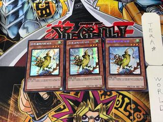 Korean version Mist Valley Thunderbird 1 Secret 3-card set Tera