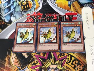 Korean version Mist Valley Thunderbird 2 Secret 3-card set Tera