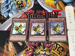 Korean version Mist Valley Thunderbird 3 Secret 3-card set Tera