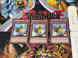 Korean version Mist Valley Thunderbird 4 Secret 3-card set Tera