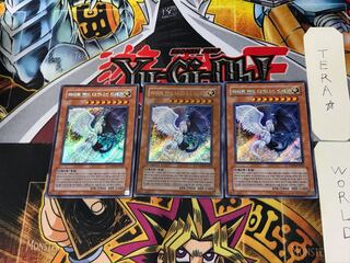 Korean edition Light and Darkness Dragon 1 Secret 3-card set Tera