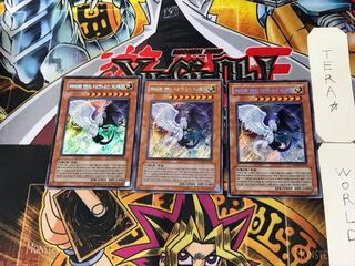 韓国版 光と闇の竜 2 シークレット 3枚セット てら