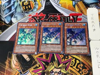 韓国版 青氷の白夜龍 1 シークレット 3枚セット てら