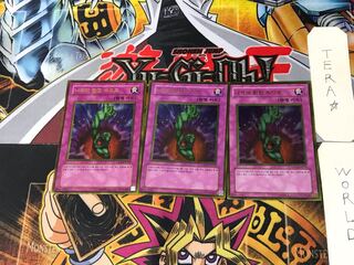 Korean version Bottomless Trap Hole 2 Gold, set of 3 Tera