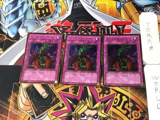 Korean version Bottomless Trap Hole 3 Gold, set of 3 Tera