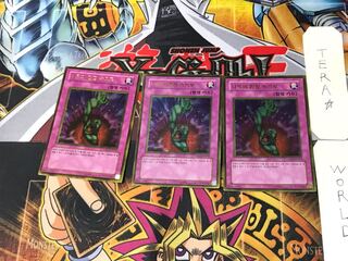 Korean version Bottomless Trap Hole 6 Gold, set of 3 Tera