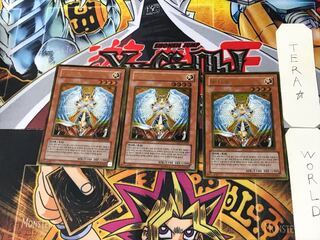 韓国版 オネスト 5 ゴールド 3枚セット てら