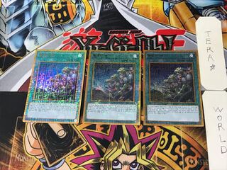 Korean version Ties of the Brethren 1 Gold Secret 3-card set Tera