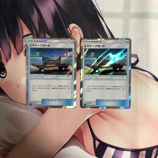 エスケープボードTR2枚