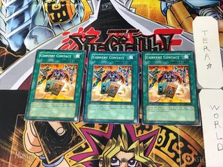 English Convert Contact 1 Normal 3-card set Tera