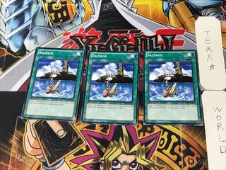 Dedicated to Lightning Shooting