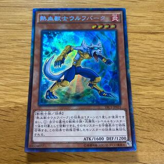 Coach Soldier Wolfbark Collector's Rare JP021