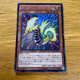 Thunder Sea Horse Collector's Rare JP027