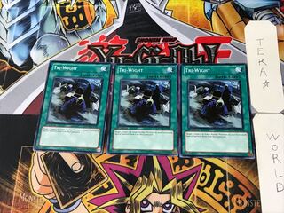 English Tri-Wight 1 Normal, set of 3 Tera.