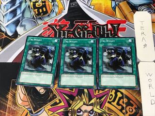 English Tri-Wight 3 Normal, set of 3 Tera.