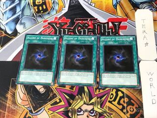 English Allure of Darkness 2 Normal, set of 3 Tera.