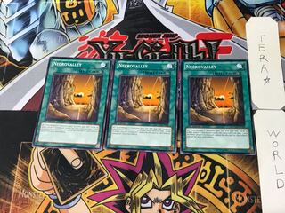 English version Valley of Sleep of Kings - Necro Valley 2 Normal, set of 3 Tera.