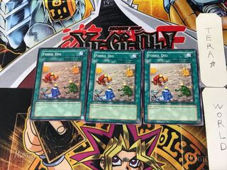 English Fossil Dig 2 Normal, set of 3 Tera.