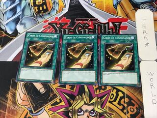 英語版 調和の宝札 3 ノーマル  3枚セット てら