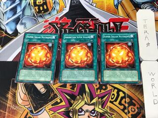 English version Super Solar Nutrient 2 Normal, set of 3 Tera