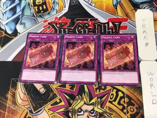 英語版 プレゼントカード 1 ノーマル  3枚セット てら