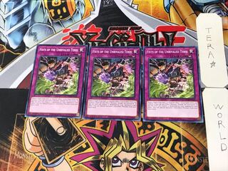 English Fists of the Unrivaled Tenyi 1 Normal Set of 3 Tera