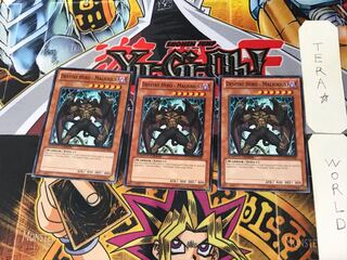 English Destiny HERO - Malicious 1 Normal Set of 3 Tera