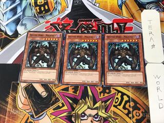 English Destiny HERO - Malicious 2 Normal Set of 3 Tera