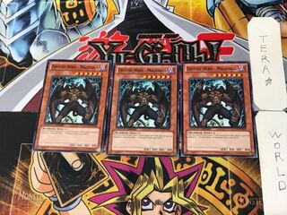 English Destiny HERO - Malicious 4 Normal Set of 3 Tera