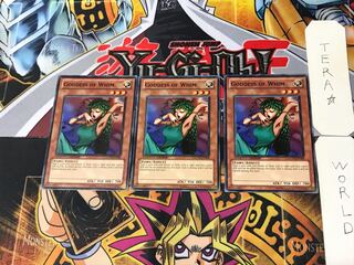 英語版 きまぐれの女神 1 ノーマル  3枚セット てら