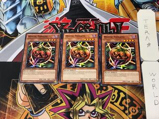 英語版 キラー・トマト 1 ノーマル  3枚セット てら