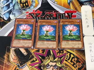 English Relinquished - Lotus 1 Normal, set of 3 Tera.