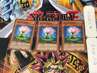 English Relinquished - Lotus 3 Normal, set of 3 Tera.