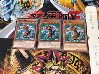 English Mare Mare 1 Normal, set of 3 Tera.