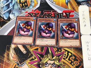 English Penguin Soldier 1 Normal, set of 3 Tera.