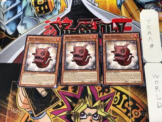 英語版 レッド・ダストン 1 ノーマル  3枚セット てら