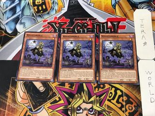 English Wightprince 1 Normal, set of 3 Tera.