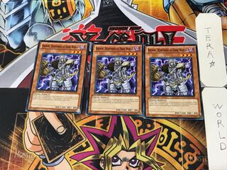 English version Darkness World Hunter Brav 1 Normal, set of 3 Tera.