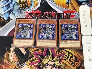 English version Darkness World Hunter Brav 2 Normal, set of 3 Tera.